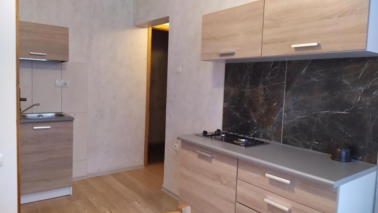 Apartamenty Z Widokiem Na Gory 부코비나 타트잔스카 외부 사진